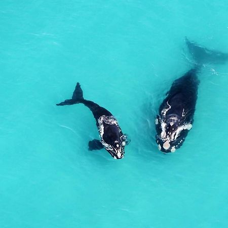 Misty Waves Boutique Hotel Hermanus Bagian luar foto