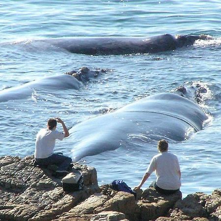 Misty Waves Boutique Hotel Hermanus Bagian luar foto